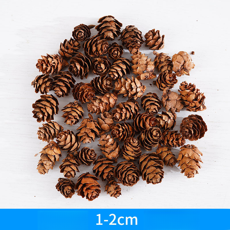Décoration Pomme de pin Gland Fleur Fait main DIY Forêt Maternelle Création environnementale Branches séchées Sauvage Créatif_voghion.com