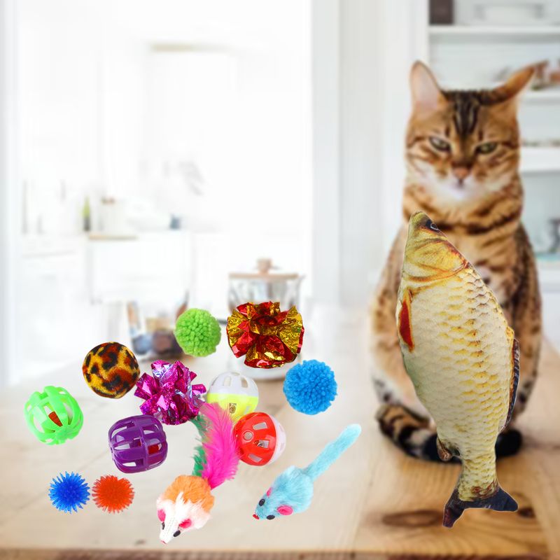 Guangying 14Pcs Cat Toys Fish Mouse Balls Catnip Toy Interactive Toy Cat Teaser Feather Toys Pet Leisure Toys_voghion.com