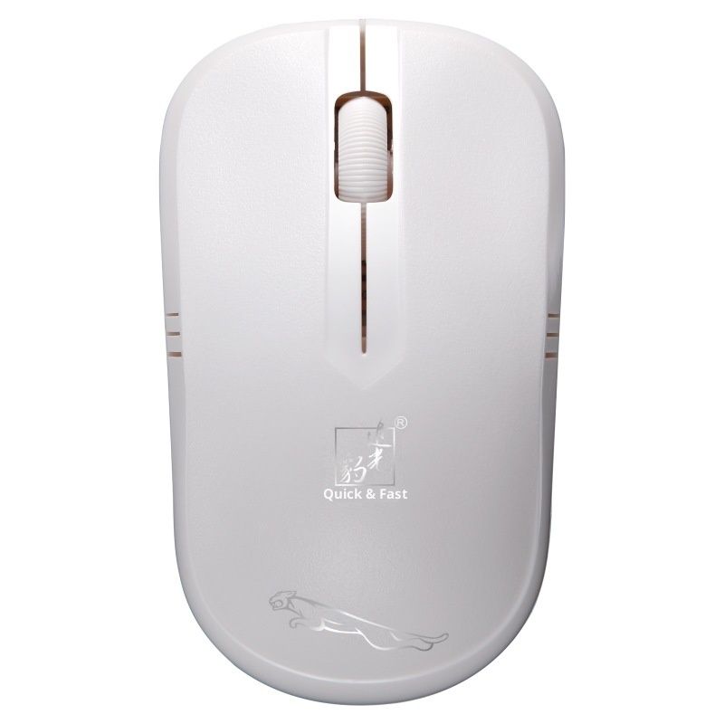 Digitex Digitex Digitex Foreign Trade Hot Item Chasing Light Leopard 101B Mini USB Laptop Wireless Mouse Gift Wholesale_voghion.com