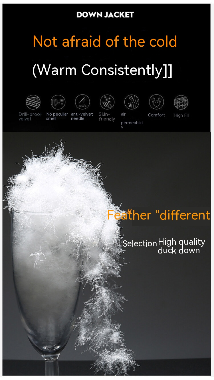 Piumino da uomo nuovo autunno e inverno 2024 caldo piumino d'anatra bianco di tendenza con colletto in piedi ispessito_voghion.com