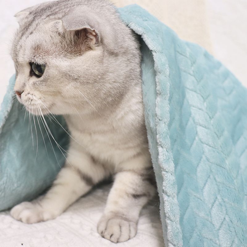 Weizenohr kleine Haustier Katze Nest Matte Hund Wärme Abdeckung Korallen Samt verdickte Decke_voghion.com