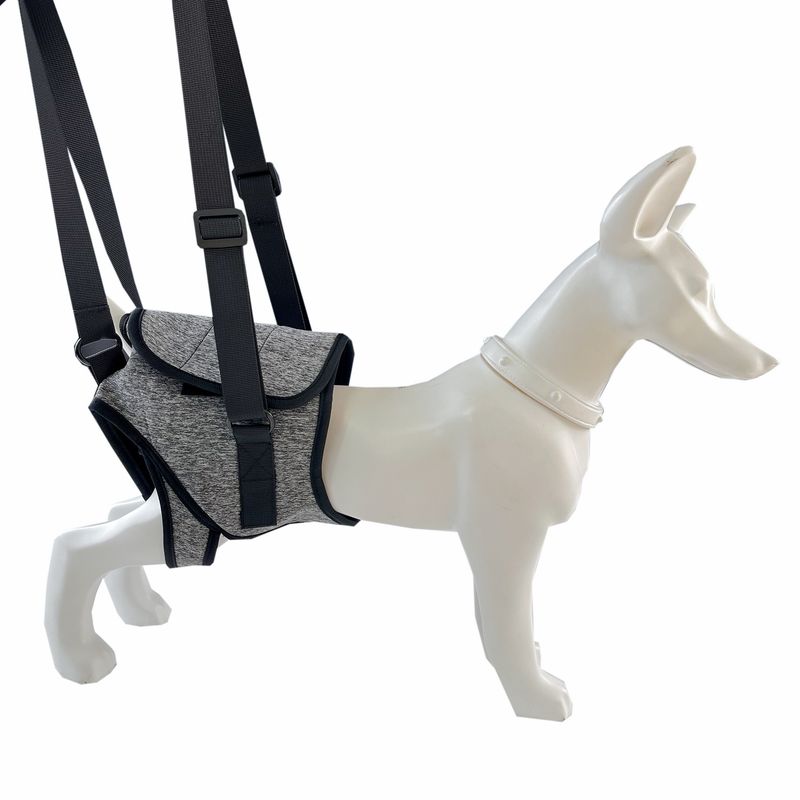 Pet Supplies Hind Leg Harness Elderly Injured Dog Rehabilitation Belt Auxiliary Leash_voghion.com