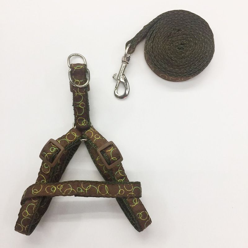 Hot Selling Walking Artifact Teddy Print Dog Rope Anti-Escape Cat Leash Pet Supplies_voghion.com