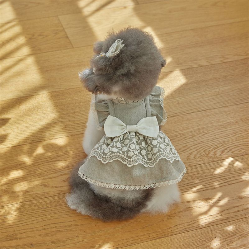 2025 Pet Cat Clothes Zomer katoenen kanten jurk Maltese kleine hondenoutfit_voghion.com