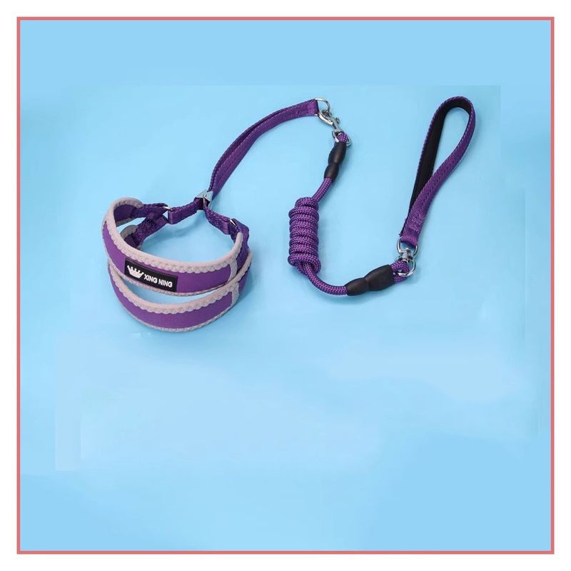 Anti-Escape Harness Explosion-Proof Pet Adjustable Outdoor Small And Medium Walking Leash Dog Chain_voghion.com