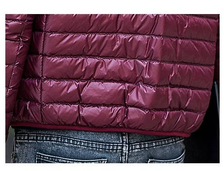 Herren Slim-Fit Daunenjacke mit Stehkragen – Leichter Wintermantel mit Polyester-Außenmaterial (Schwarz/Burgund/Marineblau)_voghion.com