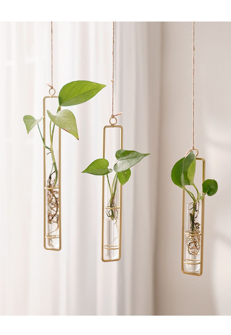 Décoration murale décorative pour la maison, vase en verre créatif pour salon, plante de radis vert, récipient à eau, décoration murale_voghion.com