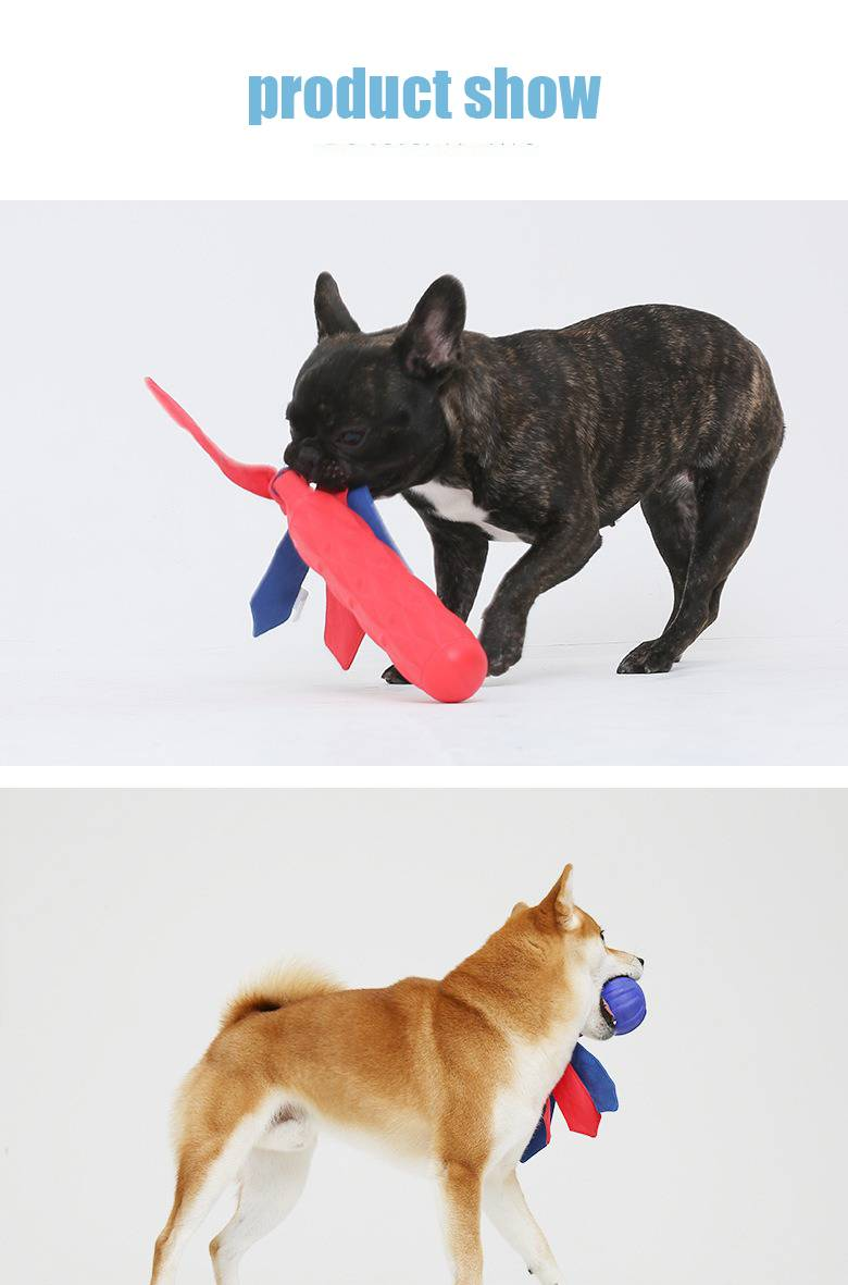 Giocattoli per animali domestici palla da addestramento schiumogena per cani resistente al morso per la dentizione, suono, sonaglio, carta da lancio all'aperto_voghion.com