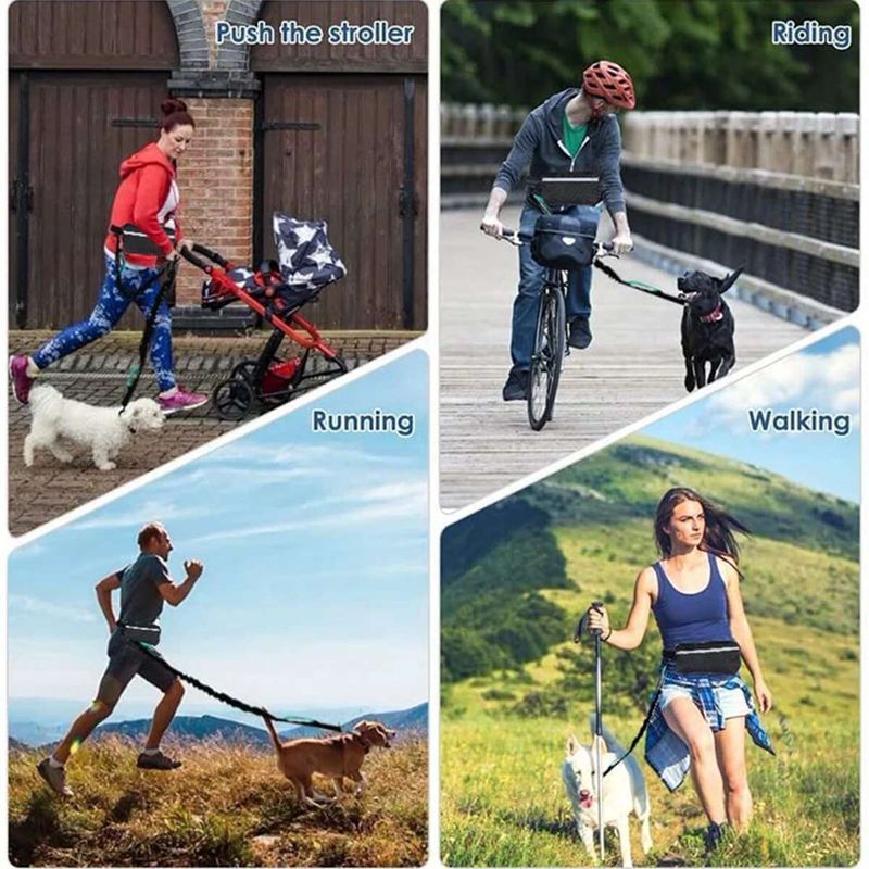 Hardlooplijn, nylon hondenriem met heuptas, intrekbare elastische band, trekkoord voor honden, reflecterende gesp van PawParty Store_voghion.com
