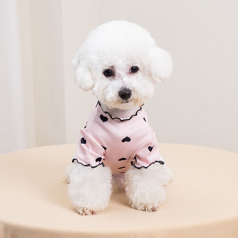 Maglietta con base a cuore, abbigliamento primaverile e autunnale, orsacchiotto, bichon, cani di piccola taglia, cuccioli, gatti a pelo corto britannico, animali domestici_voghion.com