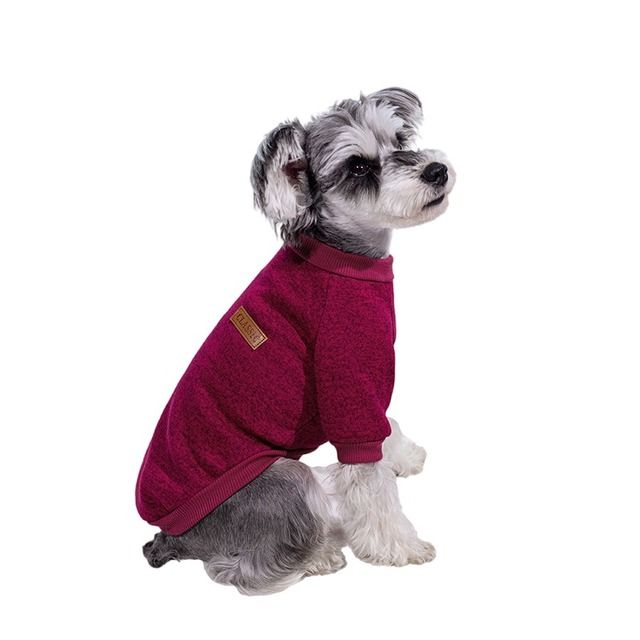 Keep You Warm Kittens Puppy Polyester Dog Hoodie By PawParty Store_voghion.com