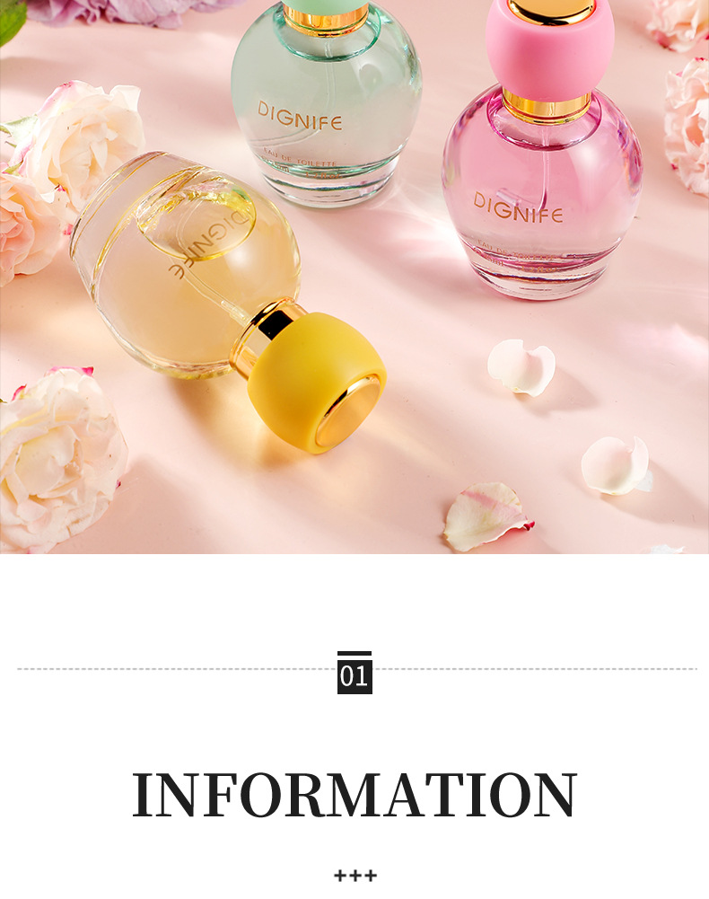 Neues Parfüm Beliebtes Provence Fantasy Dreiteiliges Parfümset für Damen Reverse Paris Encounter Geschenkbox_voghion.com