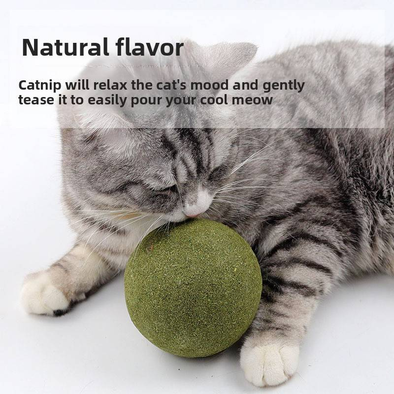 Boule de menthe à chat extra large de 10 cm, jouet pour chat, bâton de dentition, collation pour chat, boule de menthe creuse, fournitures pour animaux de compagnie_voghion.com