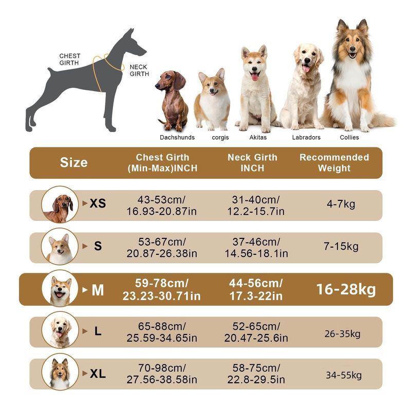 2024 New Pet Harness For Medium And Large Dogs Reflective Explosion-Proof Vest-Style Dog Leash_voghion.com