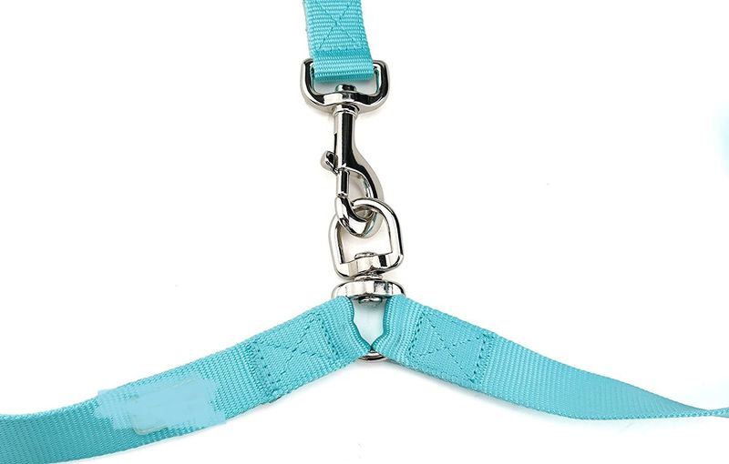 Cinturón luminoso a prueba de explosiones para mascotas con doble cuerda de cabeza, un remolque con dos cuerdas de tracción grandes para perros_voghion.com