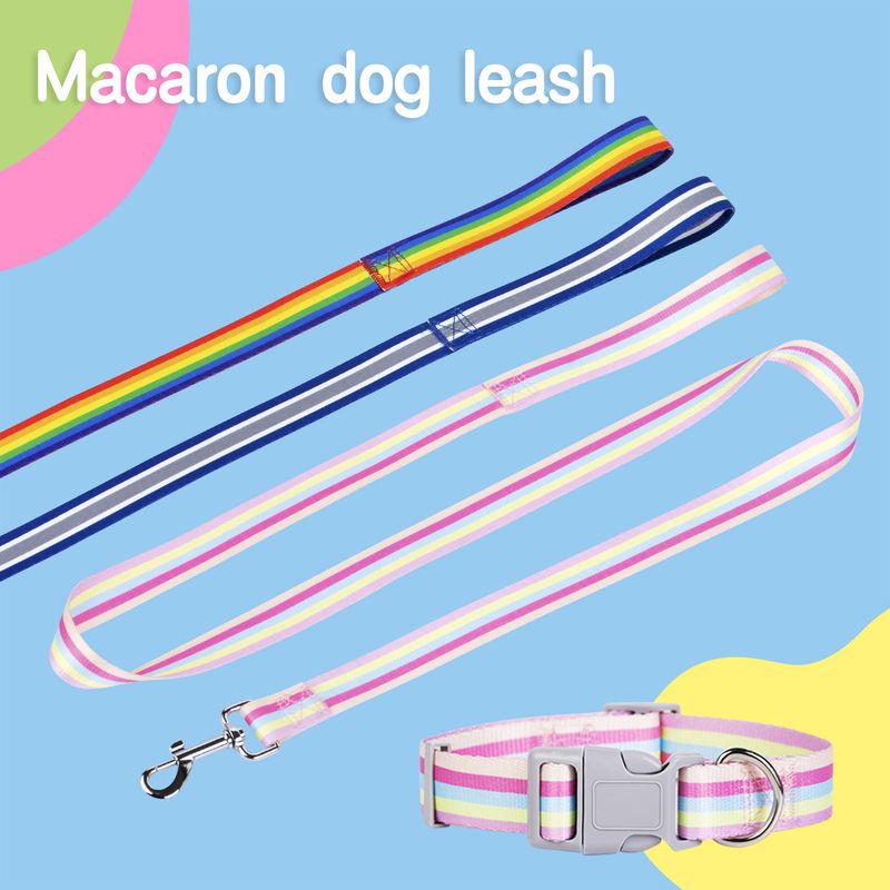 Nova coleira ajustável de nylon para cães pequenos e médios, coleira multicolorida com corrente de arco-íris e corda única para caminhada de cães_voghion.com