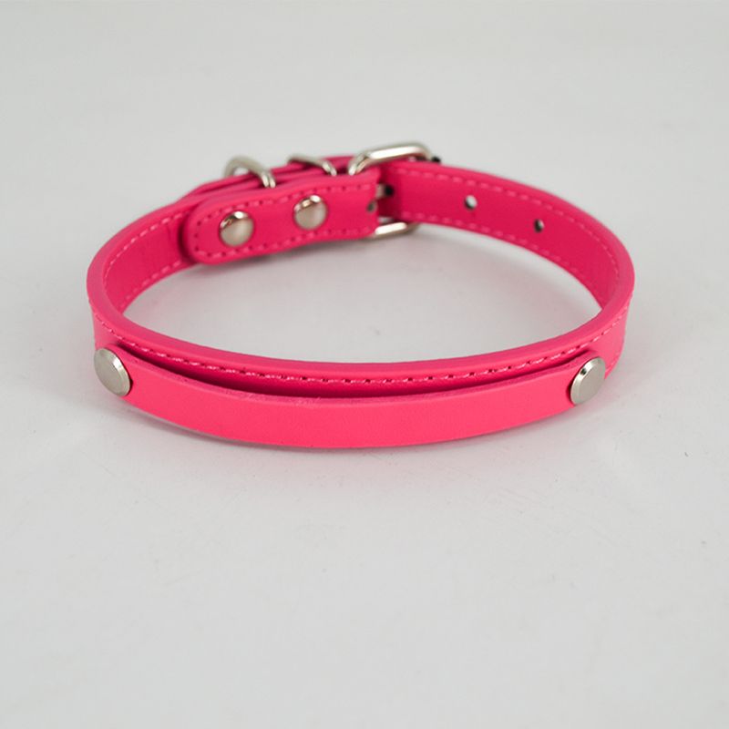 Coleira de couro puro sem letras com estampa Nabo, acessórios para animais de estimação, coleira de PU, acessórios para cães_voghion.com