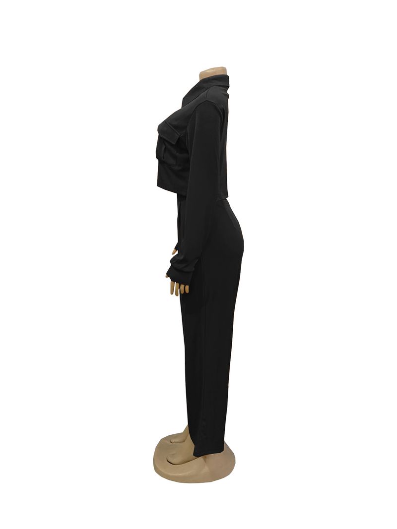 Damenbekleidung Herbstmode Revers Langarm Hohe Taille Weite Beinhose Pendeln Eleganter Anzug_voghion.com