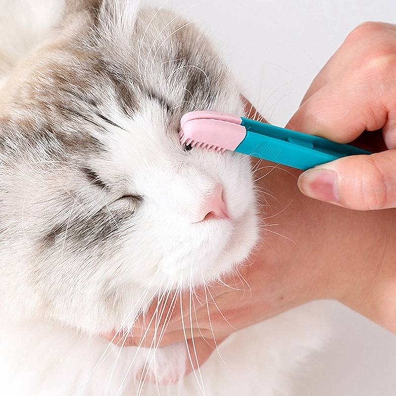 Kattenoogborstel Huisdieroogreiniger Kattenhaarknoopborstel_voghion.com