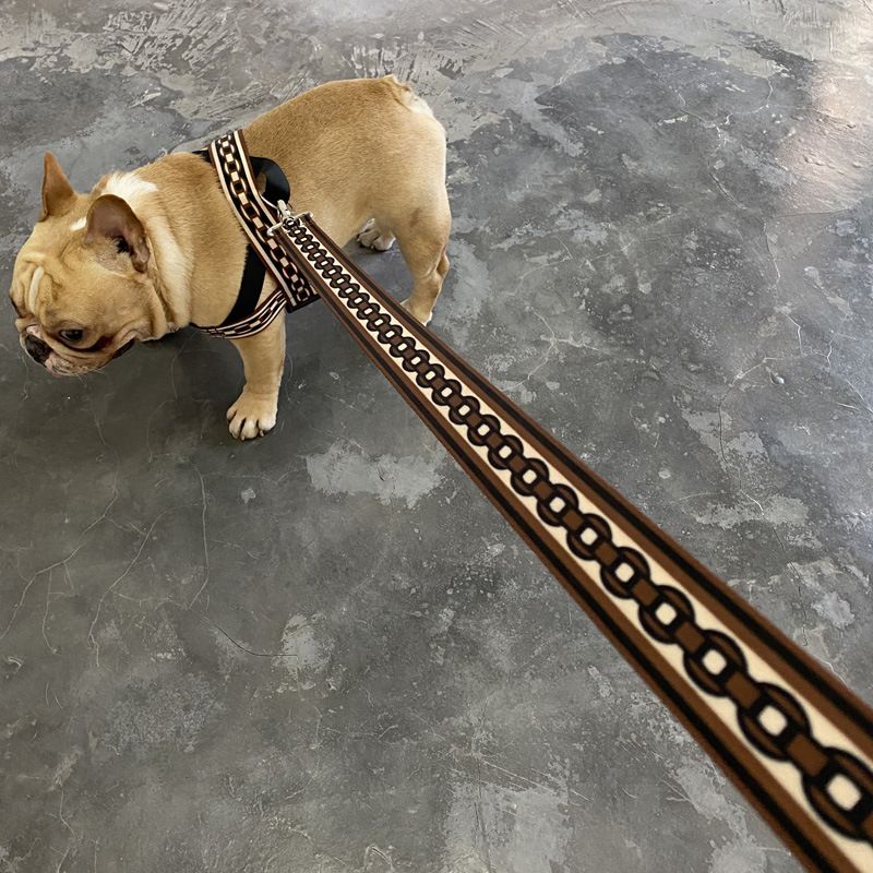 Pet Explosion-Proof Small Medium Large Collar Leash Big Dog Walking Chain_voghion.com