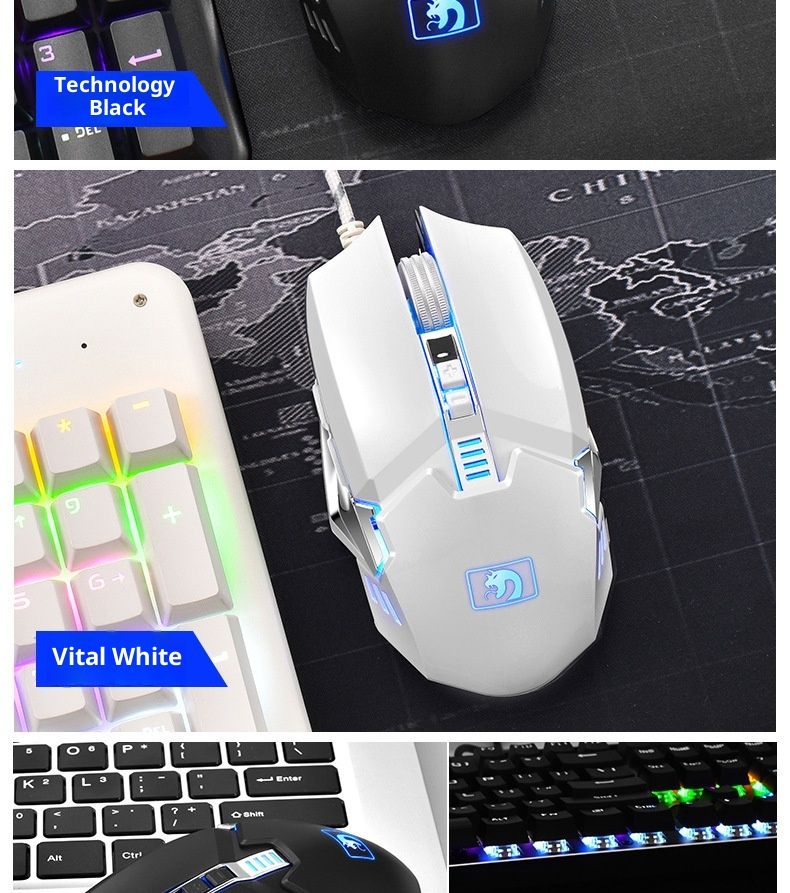 Digitex Xinmeng M312 Kabelgebundene Mamba Snake Maus der dritten Generation für E-Sport, Gaming, E-Sport, Gaming, Makroprogrammierung, Großhandel, Computer_voghion.com