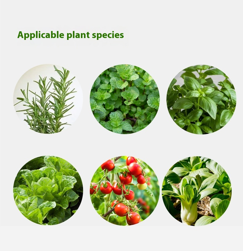 Macchina per piantagione idroponica intelligente, completamente automatica, per la coltivazione idroponica di ortaggi, senza suolo, per la piantagione di ortaggi, riempimento di luce_voghion.com