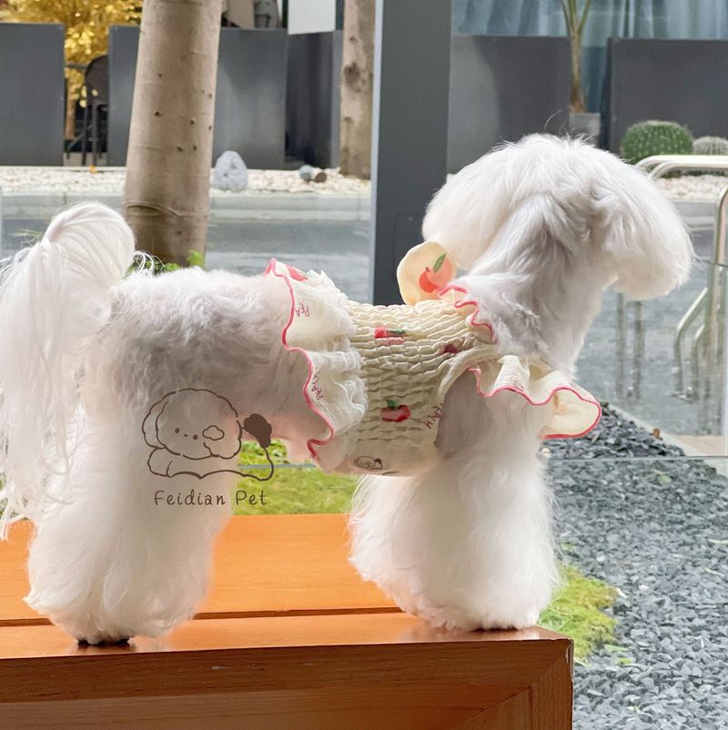 FeidianPet Spring Summer Pet Ins Style Peach Fresh Double Layer Lace Short Skirt Small Dog Cat Clothing_voghion.com