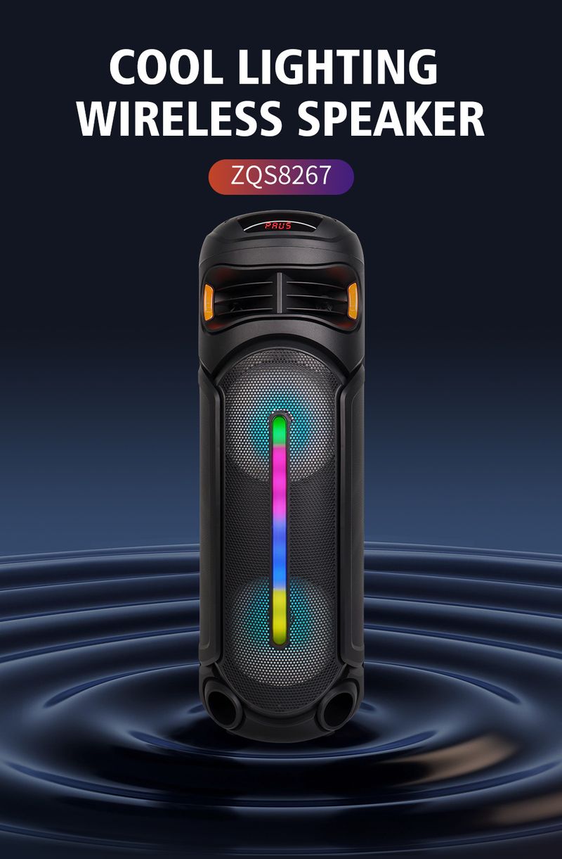 ZQS8267 Hot Sale Dual 8 tuuman 40 W:n suuritehoinen kannettava Bluetooth-kaiutin mikrofonilla värikäs valo_voghion.com