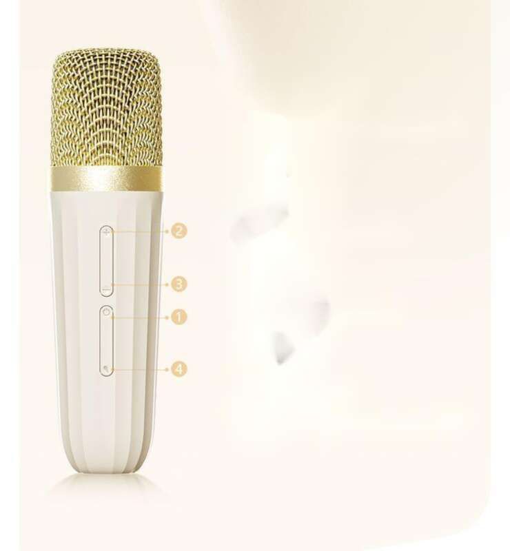 【 16 000 ihmisen kokoelma 】 Langaton Bluetooth-kaiutin mikrofonilla, kannettava arvokasta laulua varten_voghion.com