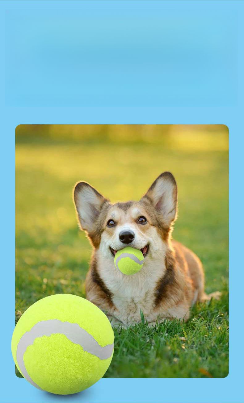 Elastic Tennis Large Medium Small Dog Chew Toy Rubber Training Ball Pet Supplies_voghion.com