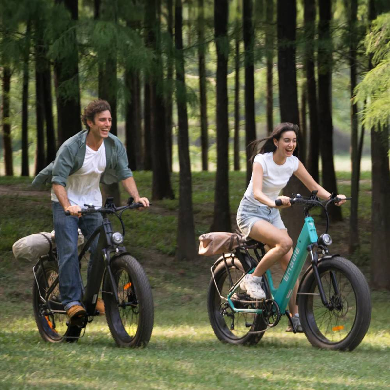 Bicicleta eléctrica todoterreno con doble suspensión ENGWE E26 de 250 W y 48 V y 16 Ah_voghion.com