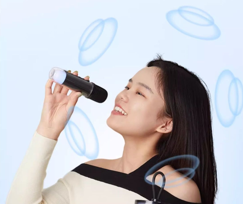 LeDu K-Singing Haut-parleur avec microphone intégré, chant, sans fil, Bluetooth, KTV, extérieur, rechargeable, portable, à la pointe de la technologie_voghion.com