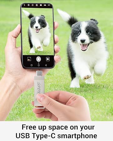 DIDIVO USB-C-Flash-Laufwerk 512 GB/256 GB/128 GB/64 GB 2-in-1 OTG USB 3.0-Daumenlaufwerk Dual-USB-C-Speicherstick Hochgeschwindigkeits-Jump-Drive Fotostick_voghion.com