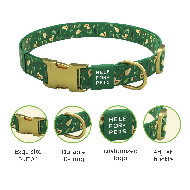 Nuovo design, set di guinzagli per cani con motivo avocado, collare regolabile per esterni_voghion.com