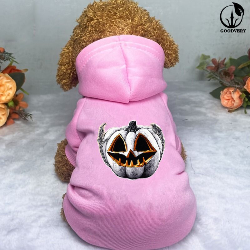 Tier-Känguru-Halloween-Kürbis-Designs, einfarbiger Pullover für Haustiere, passend für kleine/mittlere Haustiere, warmer Winterpullover, saisonale Haustierkleidung_voghion.com