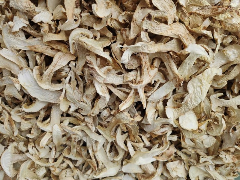 6 Unzen (170 Gramm) getrocknete Matsutake-Pilzscheiben, Premiumqualität aus Yunnan, China_voghion.com