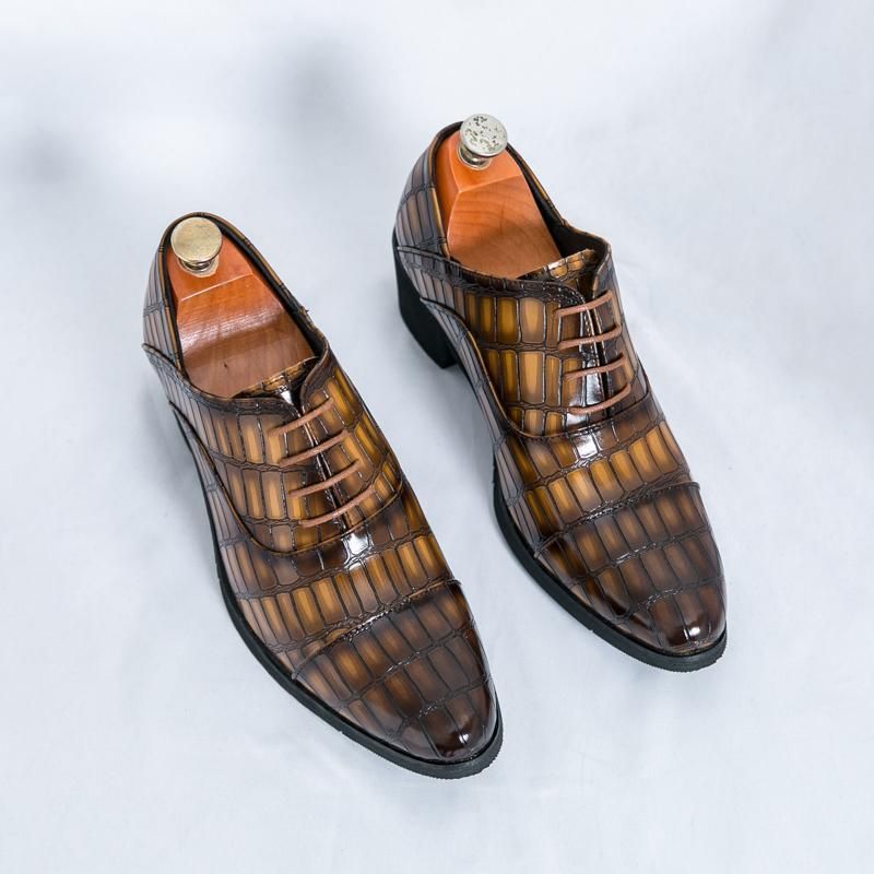 New British Trendy Crocodile Pattern Casual Leather Breathable Legged Men's Business Sharp Scalp Shoes_voghion.com