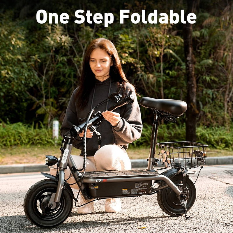 iScooter F2 500W Faltbarer Elektroroller mit Sitz für Erwachsene, 10-Zoll-Pendler-Escooter mit Korb und breiten Pedalen, 36V7.8Ah_voghion.com