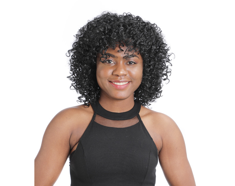 wig African small curly wig Kinky curly wig fluffy explosive wig_voghion.com