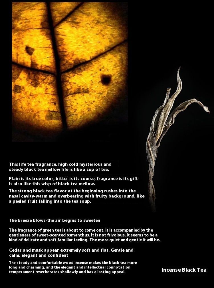 Nouveau Parfum Citron Vert Thé du Rhin Parfum Cannelle Encens Thé Noir Parfum Femme Parfum Longue Durée Parfum Étudiant Parfum Naturel_voghion.com