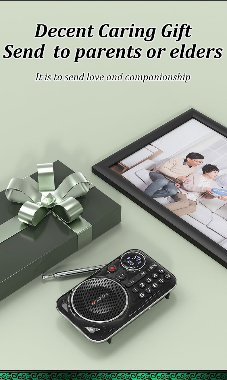 Altoparlanti Bluetooth SANSUI F21 Mini radio FM portatile wireless per anziani Multifunzionale per esterni Scheda TF / USB Musica_voghion.com