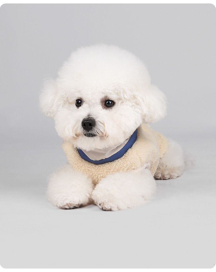 New Dog Clothes Fleece Jacket With Leash Attachment Warm Cloud Feel Thickened Puppy Pet Cotton Coat Korean Style Winter_voghion.com