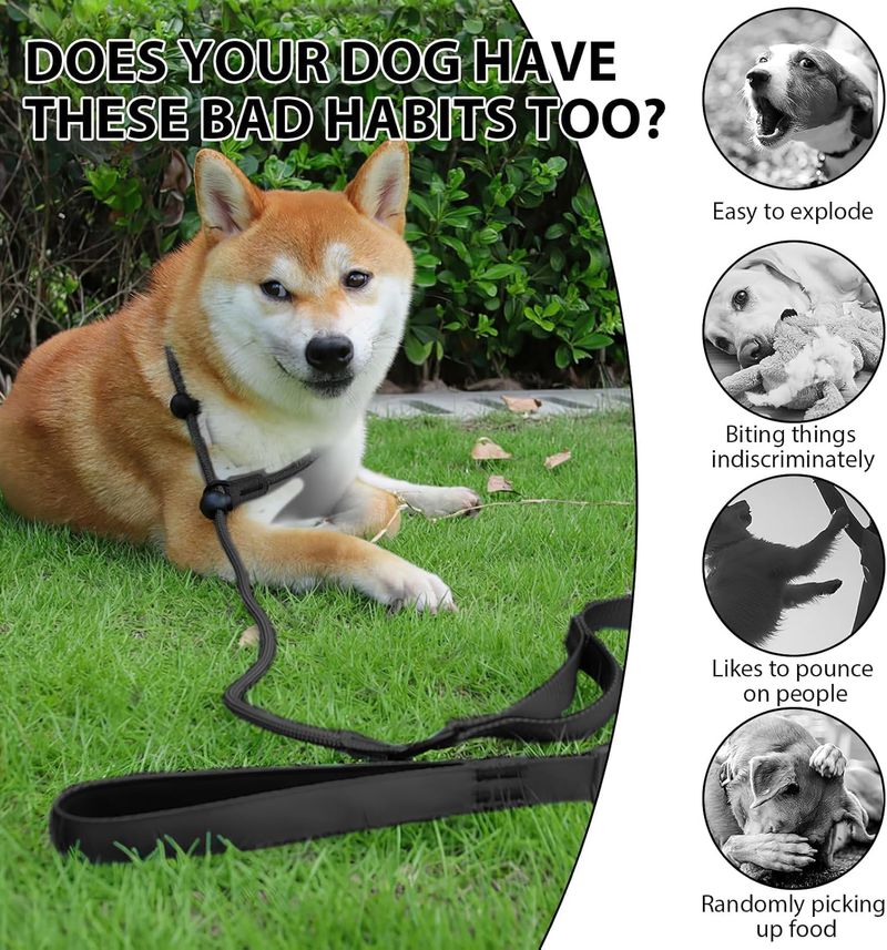 für Hunde, Mit Bequemem Griff, Verstellbares Halsband, Dünne Hundeleine, Stark, Stabil, Anti-Ziehen, Anti-Ersticken, Nylon, Trainingsseil Für Outdoo_voghion.com