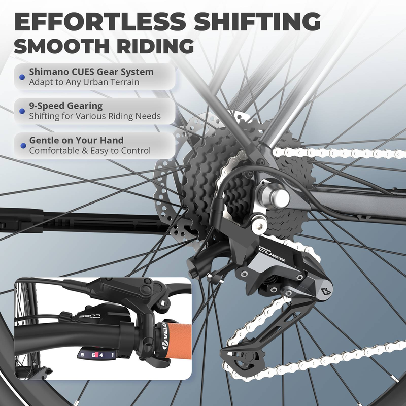 Fafrees F700W Electric Bike, 250W Motor, 36V 10Ah Battery, 9-speed_voghion.com