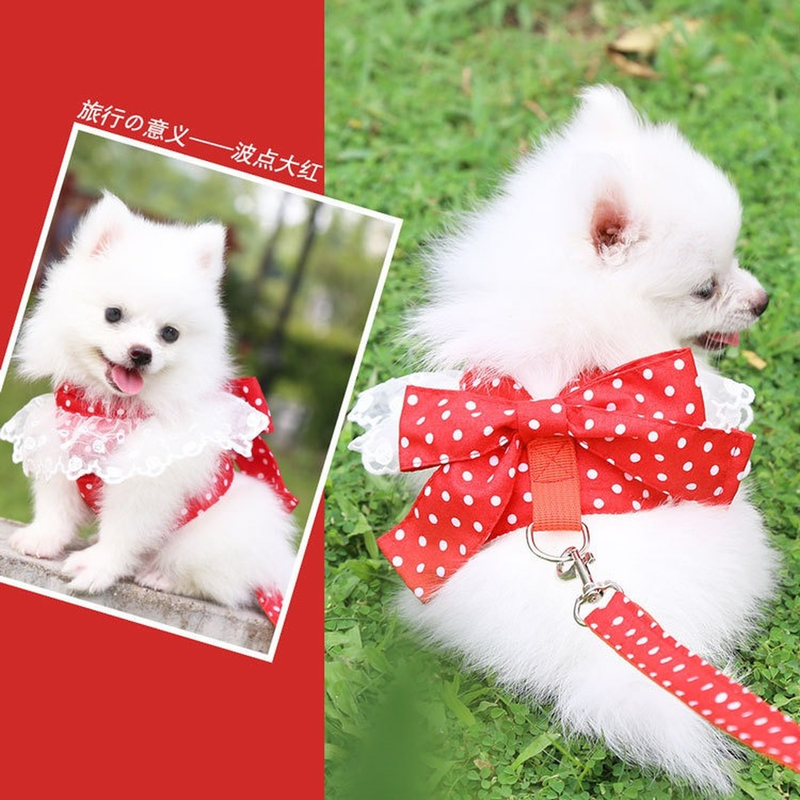 Harnas, Mooie kanten riem voor katten, Strik, Borstriem, Halsband, Huisdieraccessoires, Hondenriem, Rode strik_voghion.com