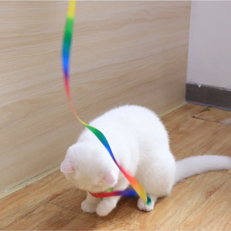 Bacchetta giocattolo per gatti con stampa fronte-retro, leggera e arcobaleno, colori intensi che attirano l'attenzione dei gatti._voghion.com