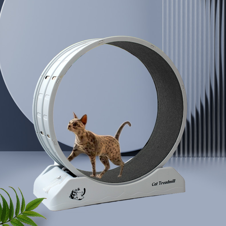 Simple Cat Roller Treadmill Mute Cat Running Wheel Plastic Non-stuck Home Sports Fitness Cat Cat Scratch Board_voghion.com