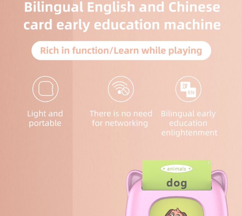 Flash Cards Foreign Trade Children's Puzzle Toys English Card Insertion Machine Bilingual Early Education Flash Card Machine_voghion.com