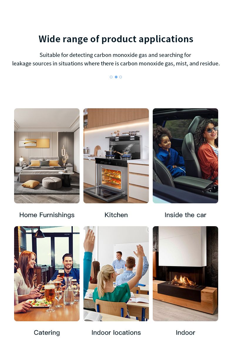Rilevatore di monossido di carbonio portatile, allarme elettrochimico per la rilevazione di monossido di carbonio per uso domestico e da esterno_voghion.com