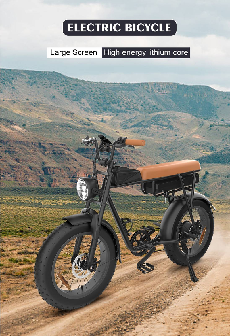 YAMALI FXH-006 Electric Dirt Bicycle, 350W Motor, 48V 18Ah Battery_voghion.com